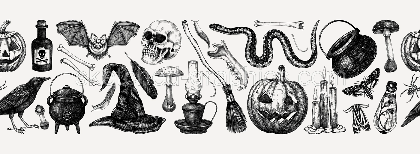 Vintage Halloween vector border. Skull, bones, pumpkin, poisonous mushrooms, snakes, raven sketches. Hand drawn witchcraft background. Seamless pattern for magic design, decoration, print Illustration